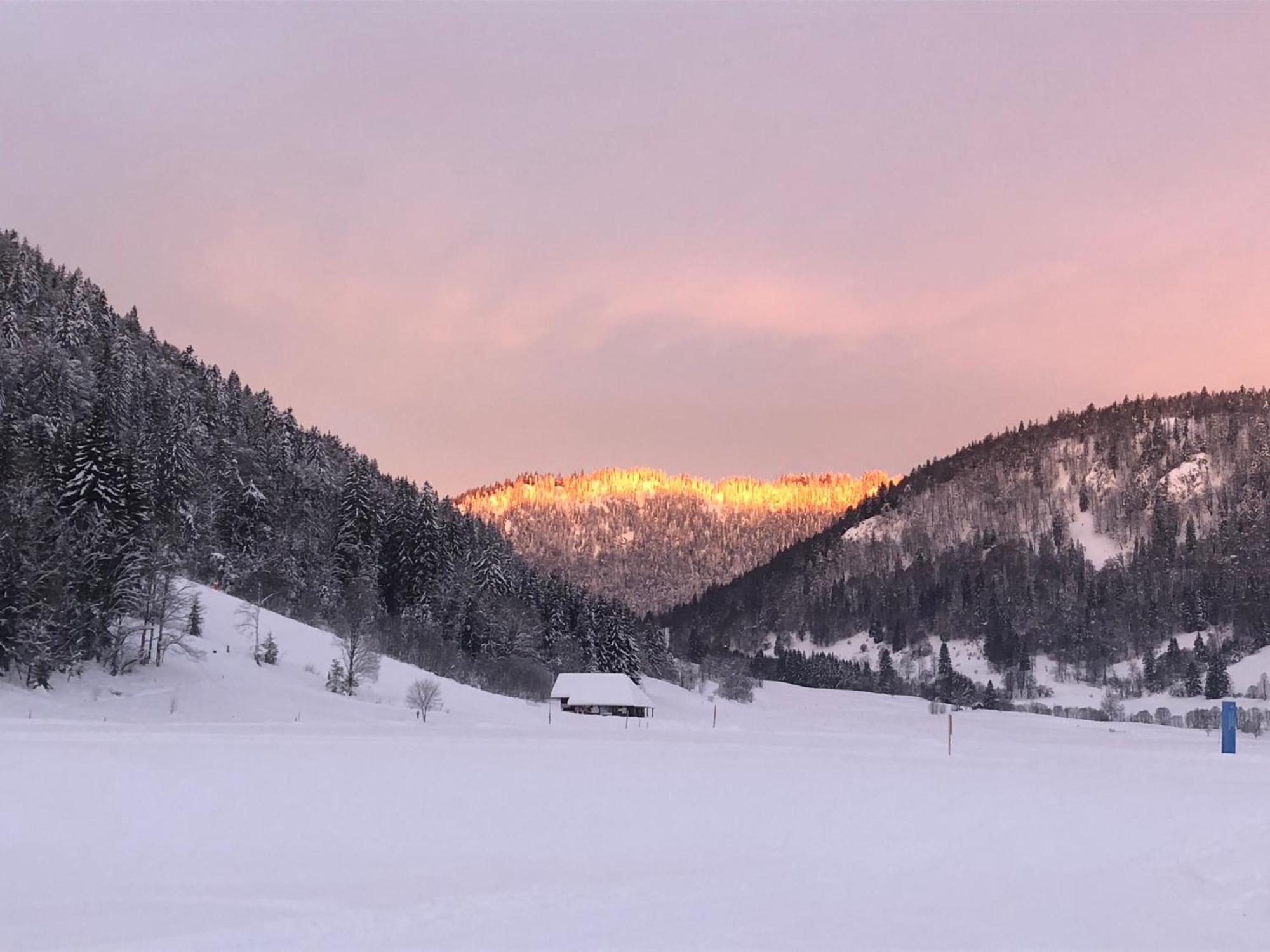 Forest Apartment-Mountain Escape Menzenschwand St. Blasien Exterior photo