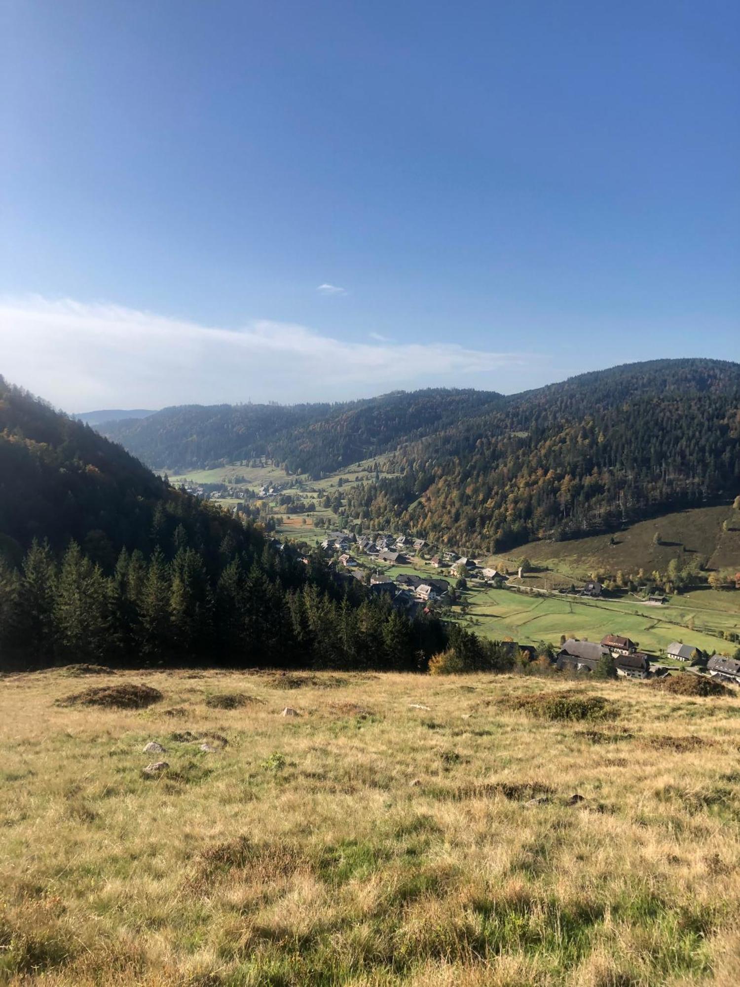 Forest Apartment-Mountain Escape Menzenschwand St. Blasien Exterior photo