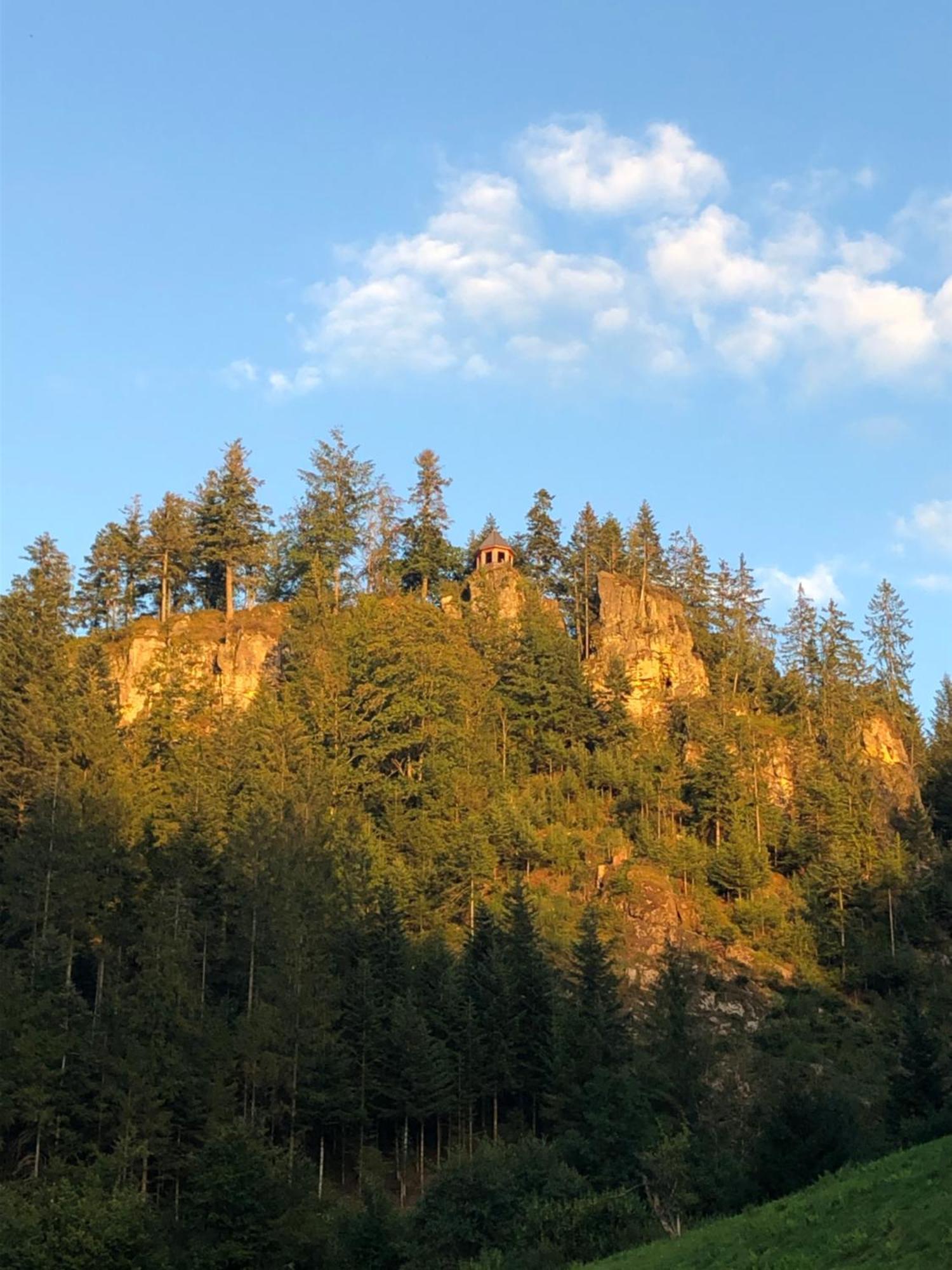 Forest Apartment-Mountain Escape Menzenschwand St. Blasien Exterior photo